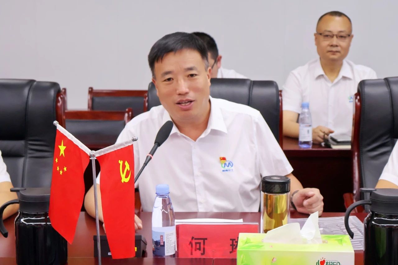 文加武常委深入美丰集团调研,强调抓住新质生产力发展契机,推动企业迈向高质量发展新阶段