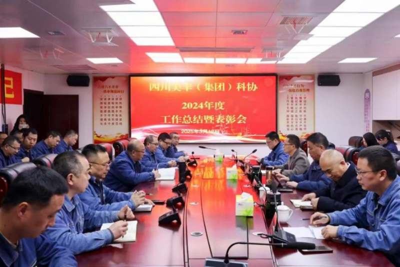 聚势谋远启新程 创新驱动赋新能——美丰集团科协召开2024年度工作总结暨表彰会